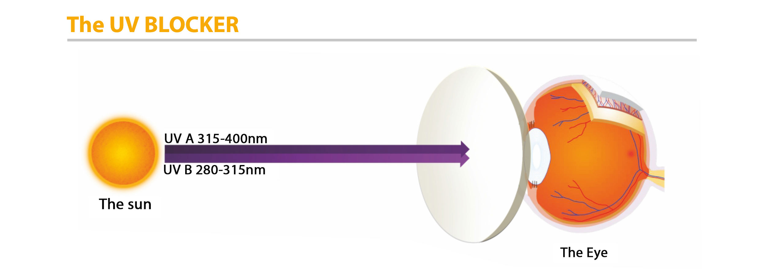 photolens5