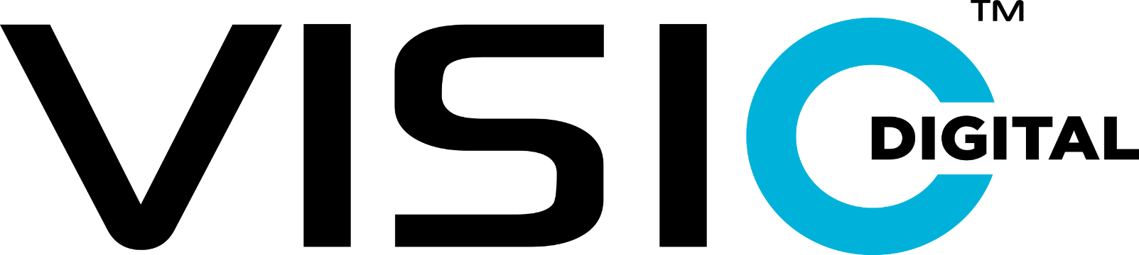 fsv_logo